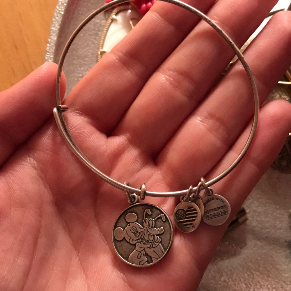 Disney alex and ani